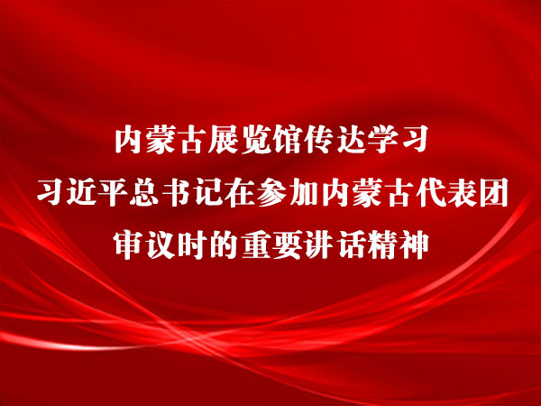 内蒙古展览馆传达学习习近平总书记在参加内蒙古代表团审议时的重要讲话精神