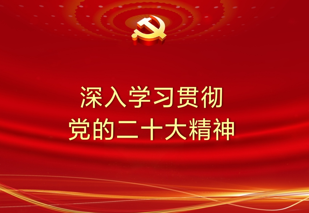 学习党的二十大报告心得体会